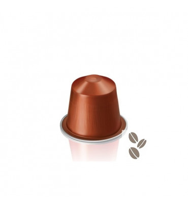 Nespresso Envivo Lungo